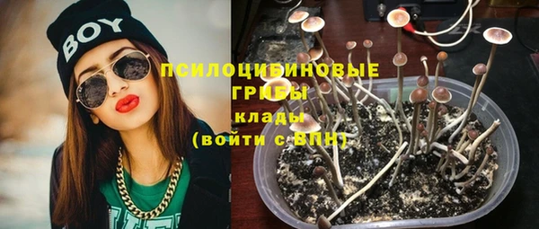 ешки Алзамай
