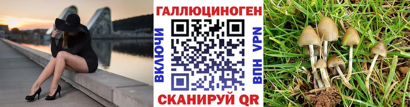 ссылка на мегу   закладки  Аргун  Псилоцибиновые грибы Psilocybine cubensis 