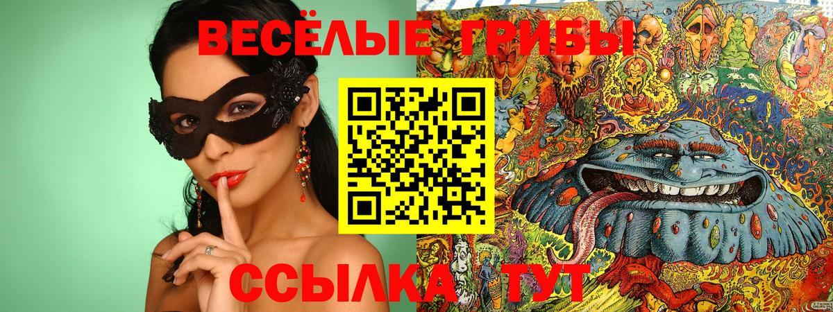 Аргун  Галлюциногенные грибы Cubensis  Вход с VPN 